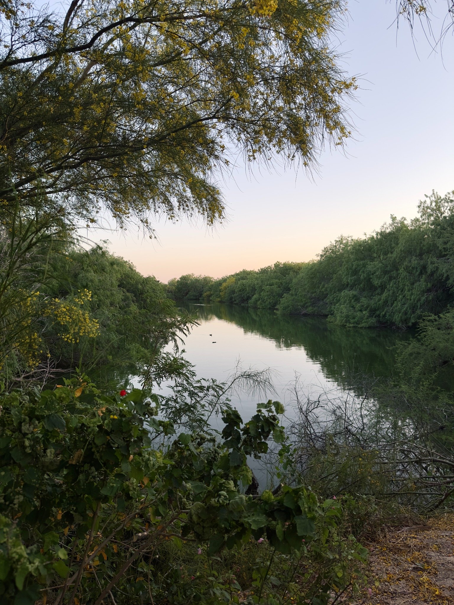 South Texas river surrounded by greenery